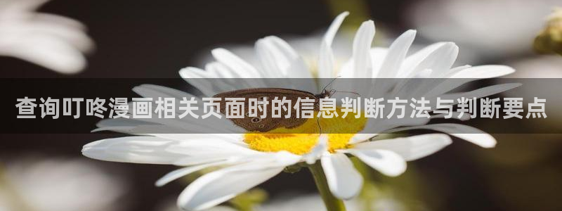 日漫:查询叮咚漫画相关页面时的信息判断方法与判断要点
