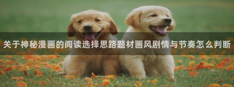 免费漫画在线阅读:关于神秘漫画的阅读选择思路题材画风剧情与节奏怎么判断