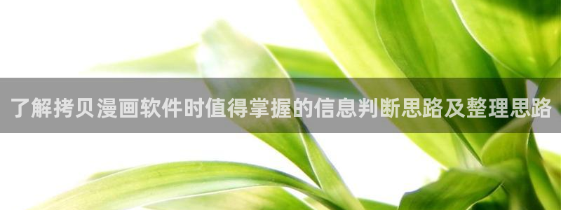 漫画全集免费：了解拷贝漫画软件时值得掌握的信息判断思路及整理思路