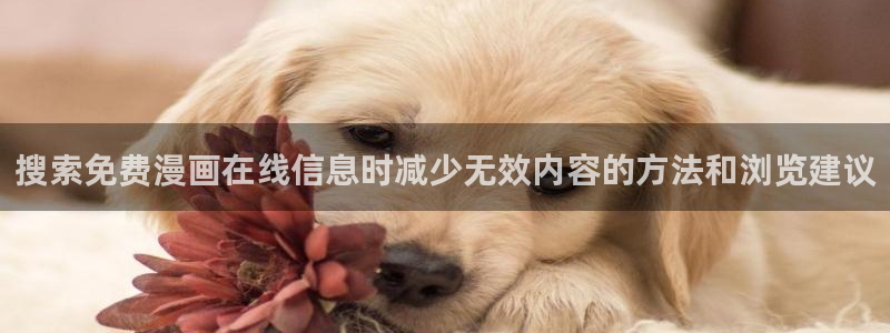 热门韩漫:搜索免费漫画在线信息时减少无效内容的方法和浏览建议