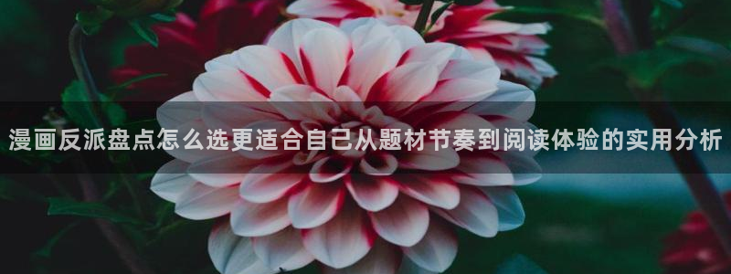 音乐漫画:漫画反派盘点怎么选更适合自己从题材节奏到阅读体验的实用分析